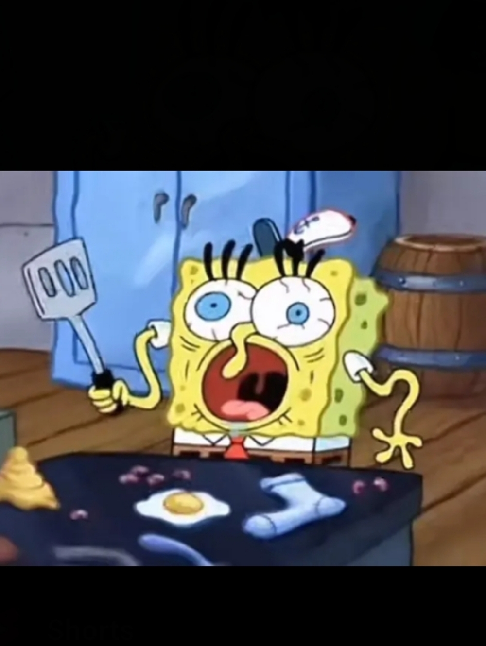 My Bio - Picture 4 of 7